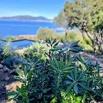 Large Family Villa, Exceptional Sea View Coti-Chiavari (Corsica)