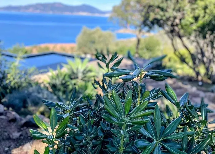 Large Family Villa, Exceptional Sea View Coti-Chiavari (Corsica)