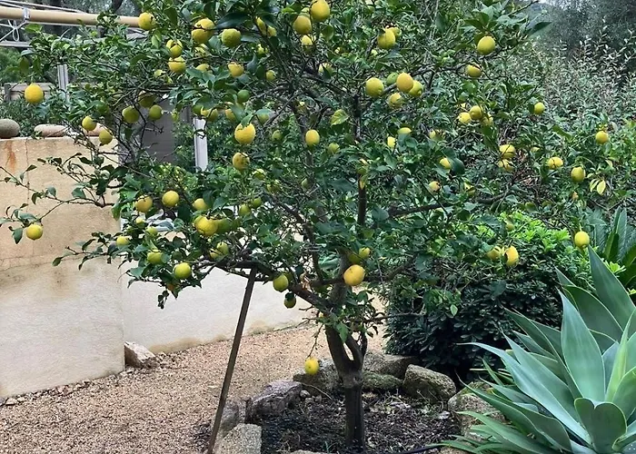 Large Family Villa, Exceptional Sea View *